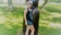 IMG_20220812_181453 (1)