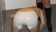 DSCN2962